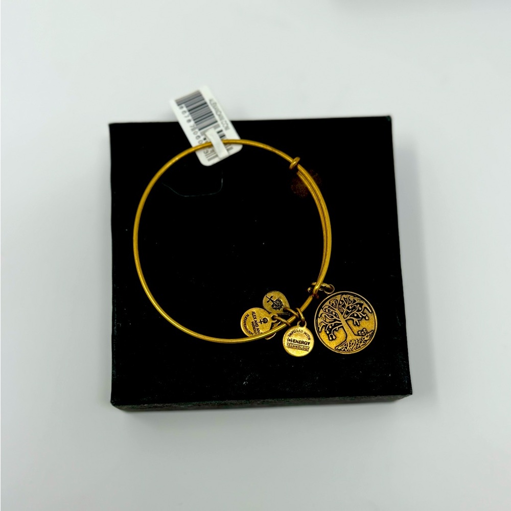 Alex and Ani Tree of Life bracelet